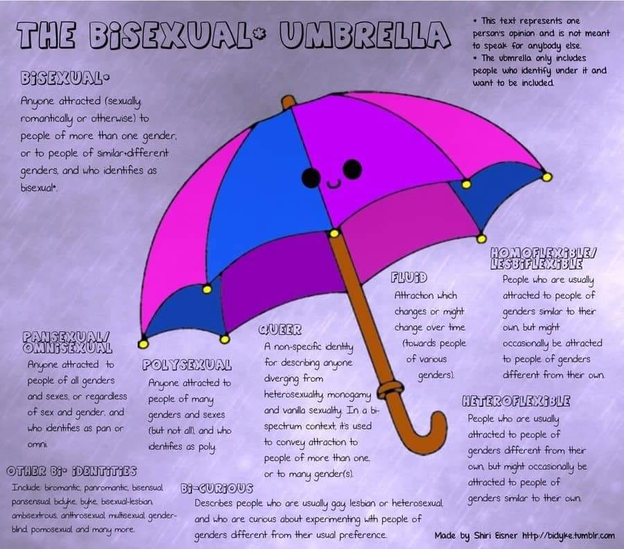 Umbrella drawing in bisexual pride colours of pink, blue, and purple with text surrounding it explaining bisexual and related terminology. Created by Shiri Eisner. https://tmblr.co/ZZZ06xCABYr0